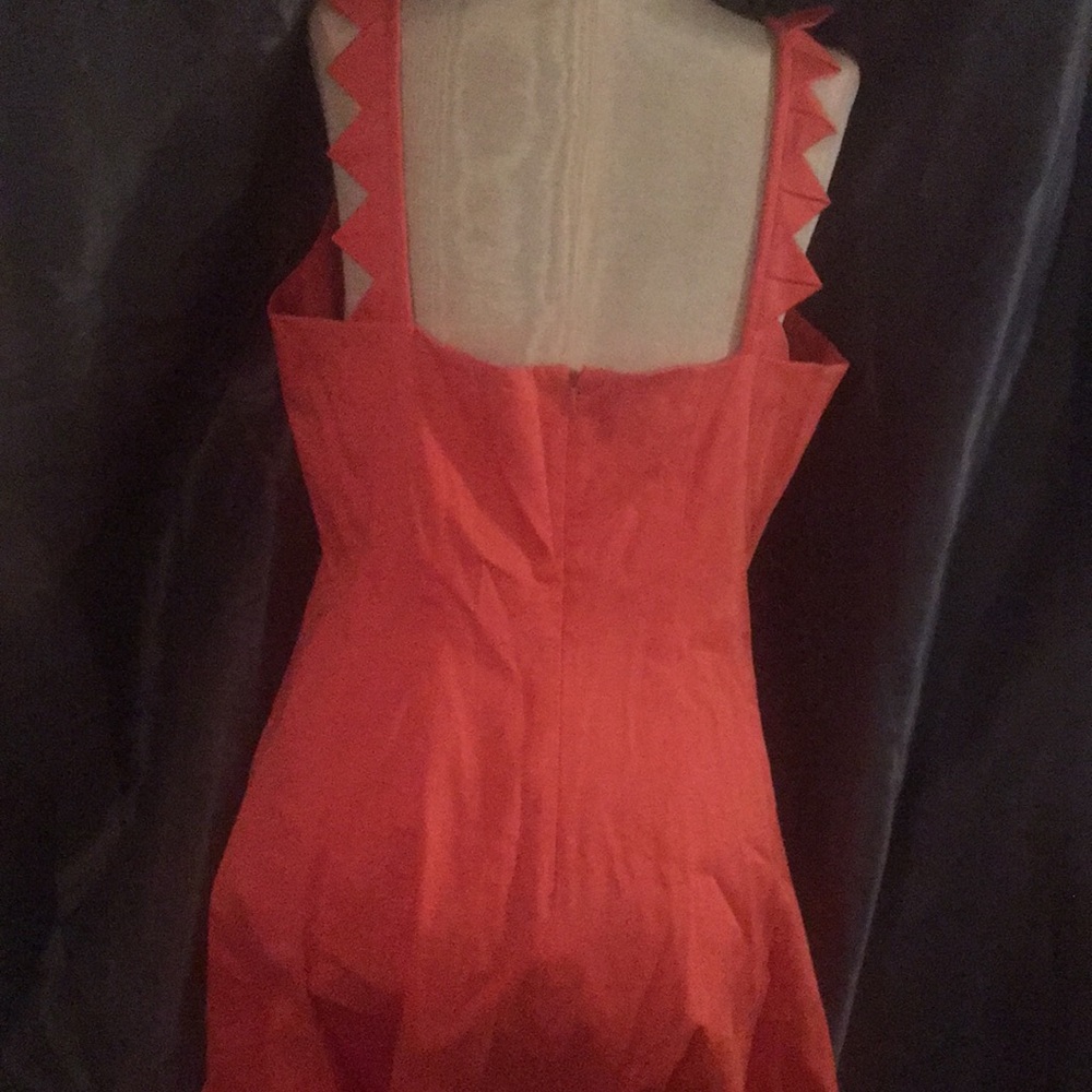 Dress - Picture 4 of 5
